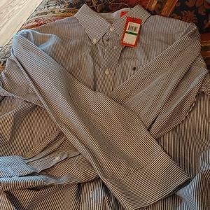 Izod button down
